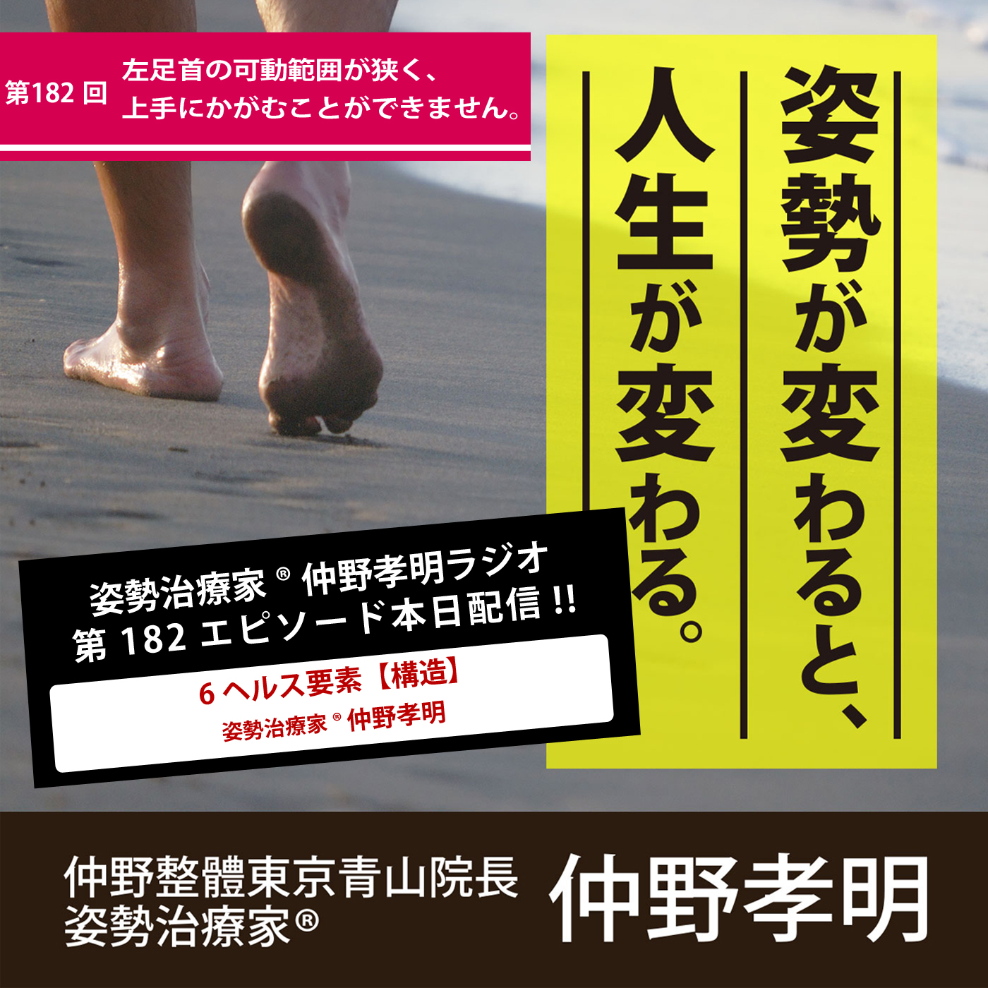 第1回 左足首の可動範囲が狭く 上手にかがむことができません 仲野整体 整體 東京青山 仲野整体 整體 東京青山